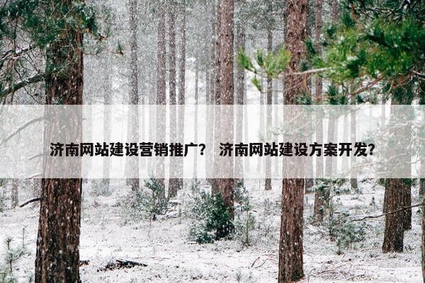 济南网站建设营销推广？ 济南网站建设方案开发？