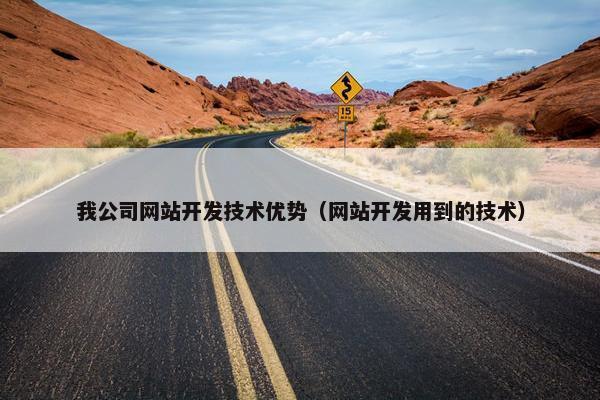 我公司网站开发技术优势（网站开发用到的技术）