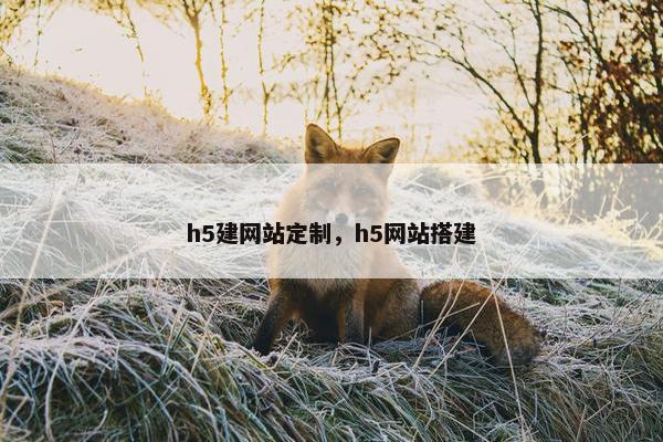 h5建网站定制，h5网站搭建