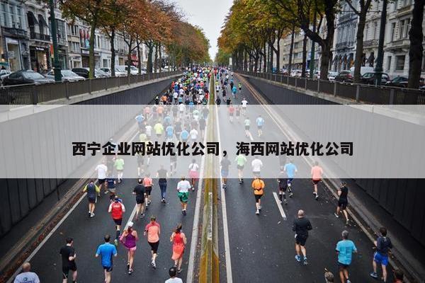 西宁企业网站优化公司，海西网站优化公司
