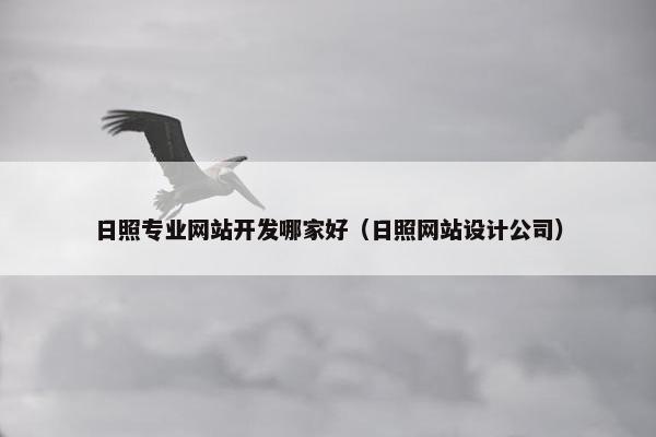 日照专业网站开发哪家好（日照网站设计公司）