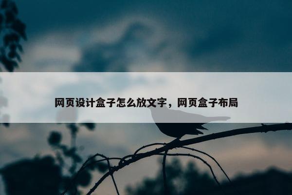 网页设计盒子怎么放文字，网页盒子布局