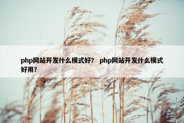 php网站开发什么模式好？ php网站开发什么模式好用？