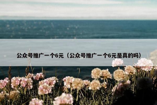 公众号推广一个6元（公众号推广一个6元是真的吗）