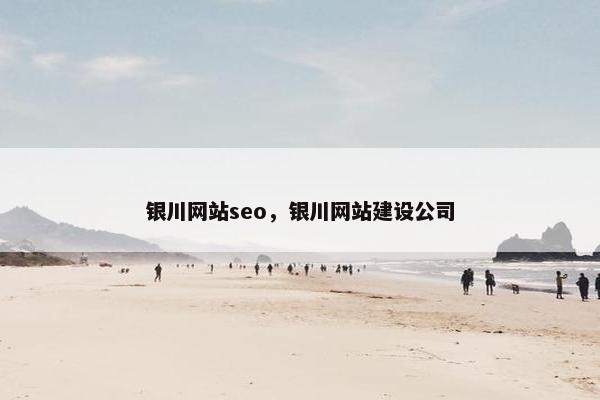 银川网站seo，银川网站建设公司