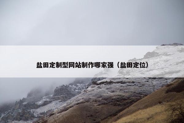 盐田定制型网站制作哪家强（盐田定位）