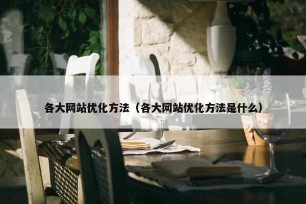 各大网站优化方法（各大网站优化方法是什么）
