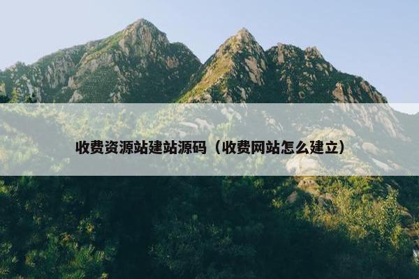 收费资源站建站源码（收费网站怎么建立）