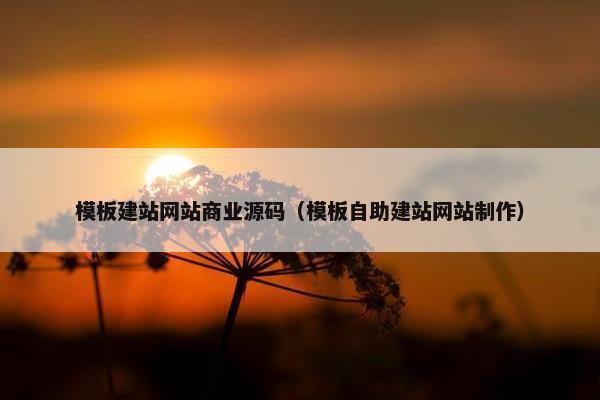 模板建站网站商业源码（模板自助建站网站制作）