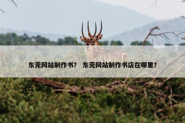 东莞网站制作书？ 东莞网站制作书店在哪里？