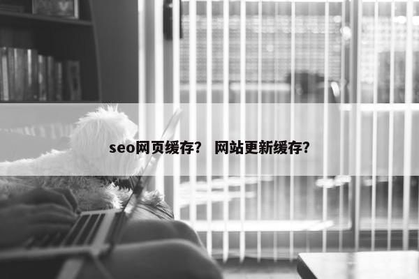 seo网页缓存？ 网站更新缓存？