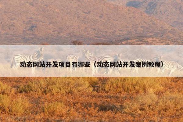 动态网站开发项目有哪些（动态网站开发案例教程）