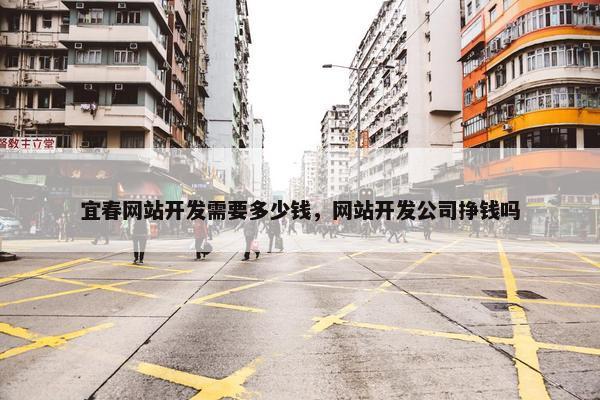 宜春网站开发需要多少钱，网站开发公司挣钱吗