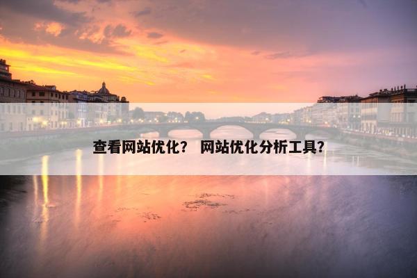 查看网站优化？ 网站优化分析工具？