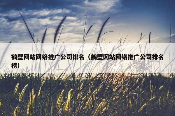 鹤壁网站网络推广公司排名（鹤壁网站网络推广公司排名榜）