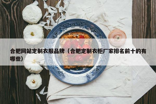 合肥网站定制衣服品牌（合肥定制衣柜厂家排名前十的有哪些）