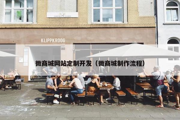 微商城网站定制开发（微商城制作流程）