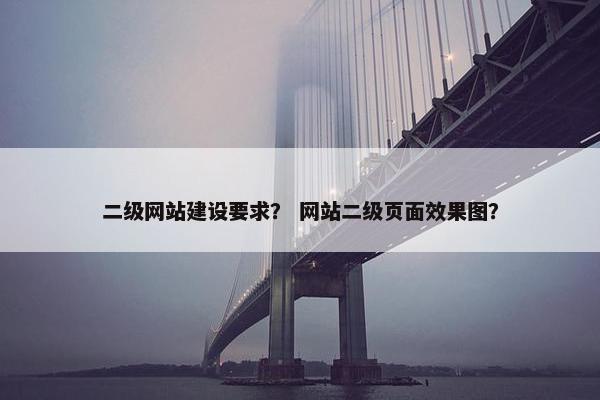 二级网站建设要求？ 网站二级页面效果图？