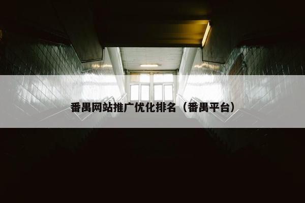 番禺网站推广优化排名（番禺平台）