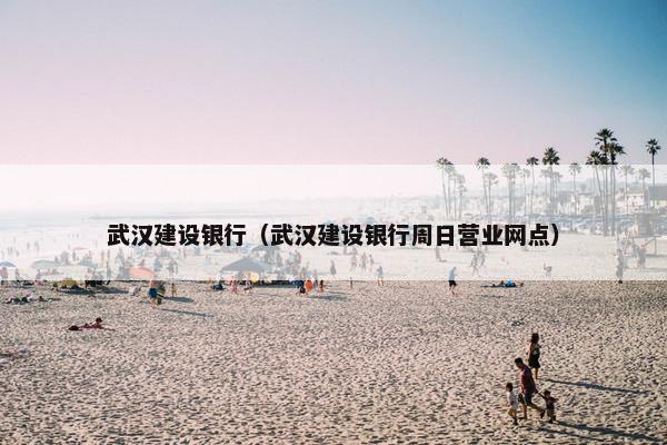 武汉建设银行（武汉建设银行周日营业网点）