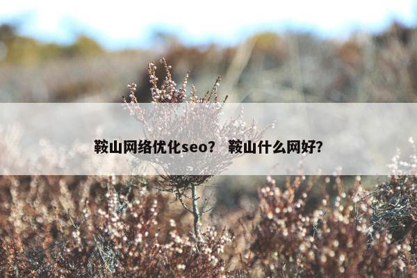 鞍山网络优化seo？ 鞍山什么网好？