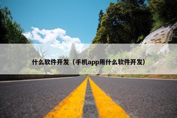 什么软件开发（手机app用什么软件开发）
