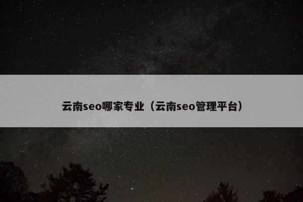 云南seo哪家专业（云南seo管理平台）