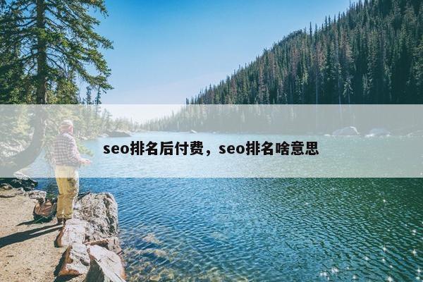 seo排名后付费，seo排名啥意思