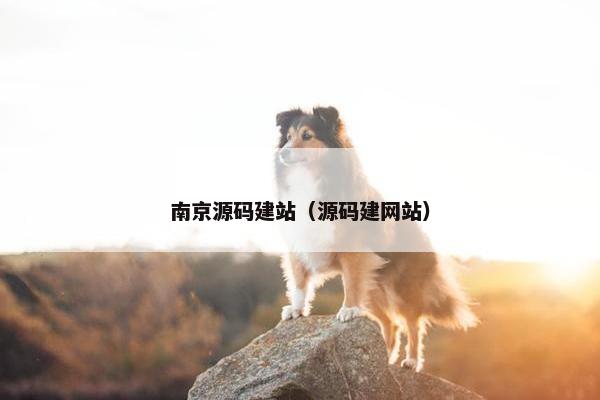 南京源码建站（源码建网站）