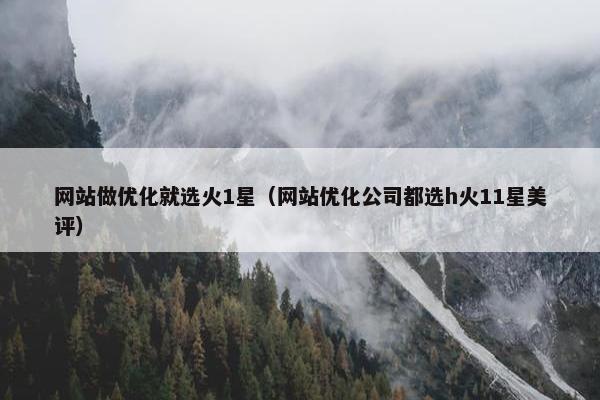 网站做优化就选火1星（网站优化公司都选h火11星美评）