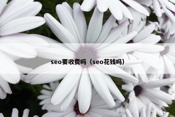 seo要收费吗（seo花钱吗）