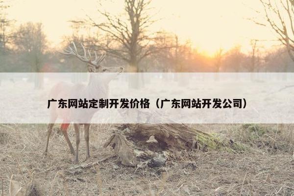 广东网站定制开发价格（广东网站开发公司）