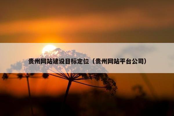 贵州网站建设目标定位（贵州网站平台公司）