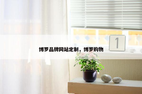 博罗品牌网站定制，博罗购物