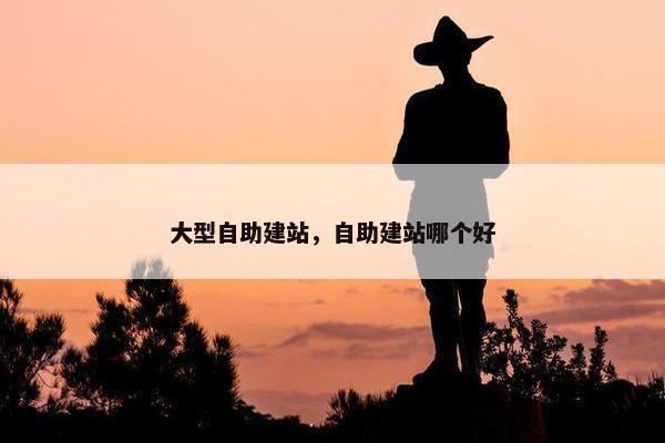 大型自助建站，自助建站哪个好