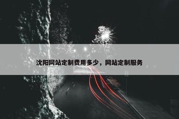 沈阳网站定制费用多少，网站定制服务