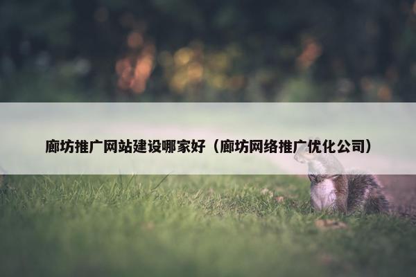 廊坊推广网站建设哪家好（廊坊网络推广优化公司）