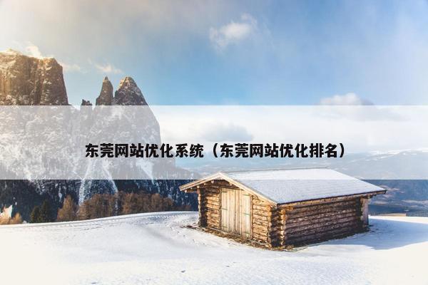 东莞网站优化系统（东莞网站优化排名）