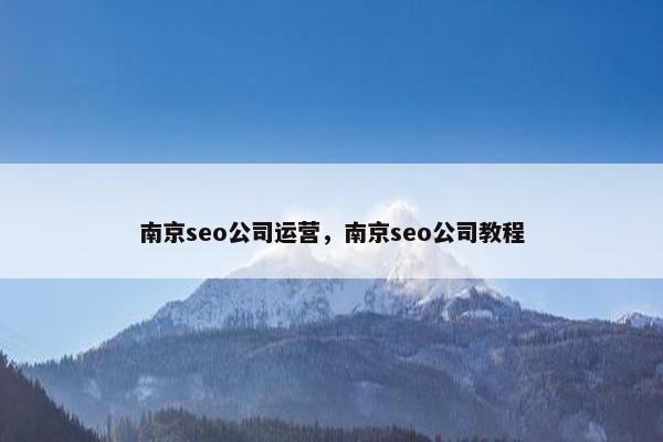 南京seo公司运营，南京seo公司教程