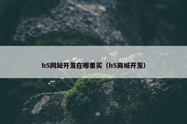 h5网站开发在哪里买（h5商城开发）