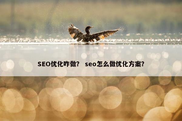 SEO优化咋做？ seo怎么做优化方案？
