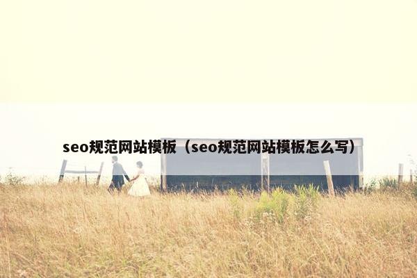 seo规范网站模板（seo规范网站模板怎么写）