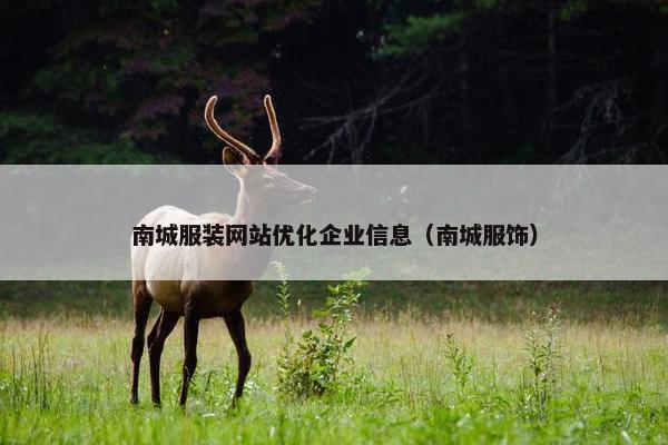 南城服装网站优化企业信息（南城服饰）