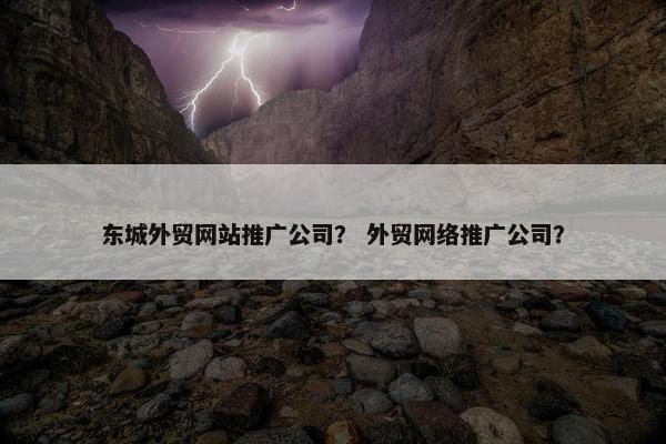 东城外贸网站推广公司？ 外贸网络推广公司？