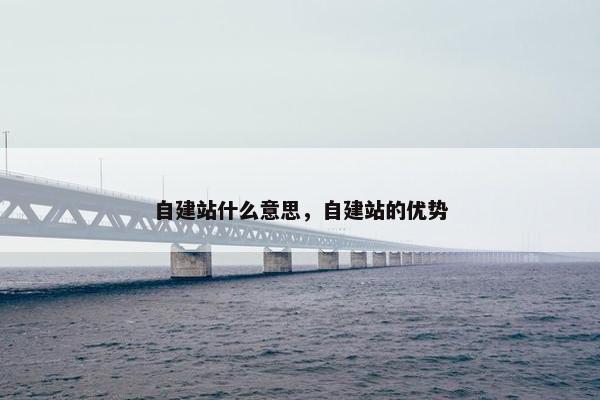 自建站什么意思，自建站的优势