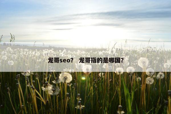 龙哥seo？ 龙哥指的是哪国？
