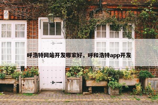 呼浩特网站开发哪家好，呼和浩特app开发