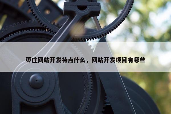 枣庄网站开发特点什么，网站开发项目有哪些