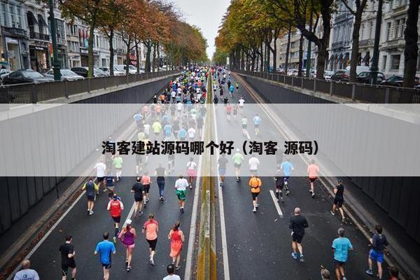 淘客建站源码哪个好（淘客 源码）