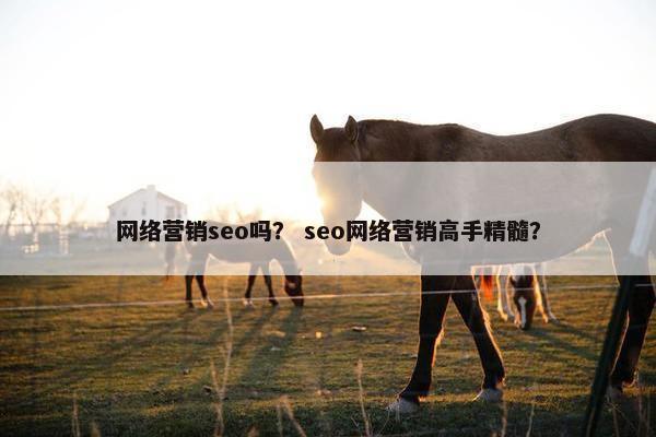 网络营销seo吗？ seo网络营销高手精髓？